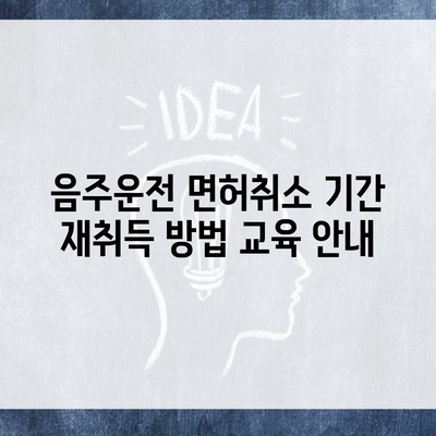 음주운전 면허취소 기간 재취득 방법 교육 안내