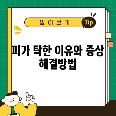 피가 탁한 이유와 증상 해결방법