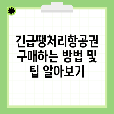 긴급땡처리항공권 구매하는 방법 및 팁 알아보기