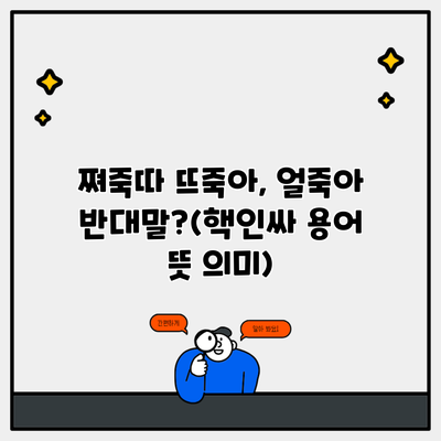 쪄죽따 뜨죽아, 얼죽아 반대말?(핵인싸 용어 뜻 의미)