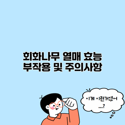 회화나무 열매 효능 부작용 및 주의사항