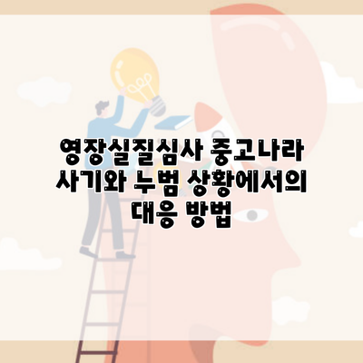 영장실질심사 중고나라 사기와 누범 상황에서의 대응 방법