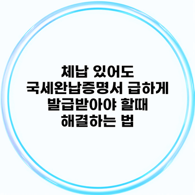 체납 있어도 국세완납증명서 급하게 발급받아야 할때 해결하는 법