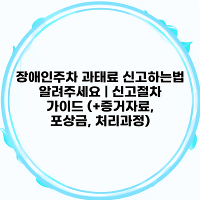 장애인주차 과태료 신고하는법 알려주세요 | 신고절차 가이드 (+증거자료, 포상금, 처리과정)