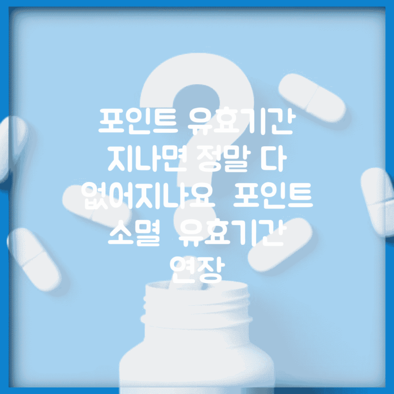 포인트 유효기간 지나면 정말 다 없어지나요 | 포인트 소멸 | 유효기간 | 연장