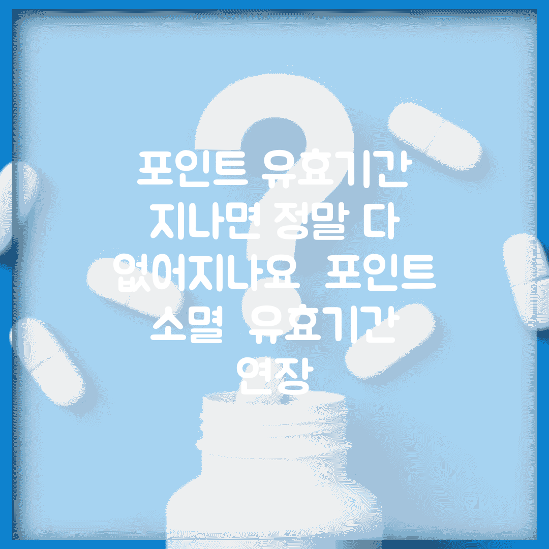 포인트 유효기간 지나면 정말 다 없어지나요 | 포인트 소멸 | 유효기간 | 연장