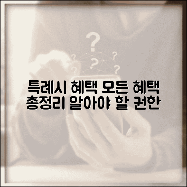 특례시 혜택 총정리 | 특례시 지정으로 받는 혜택과 권한