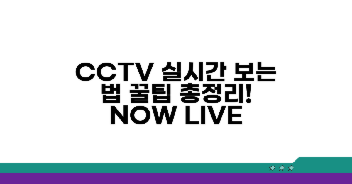 실시간 CCTV 보는 방법 총정리