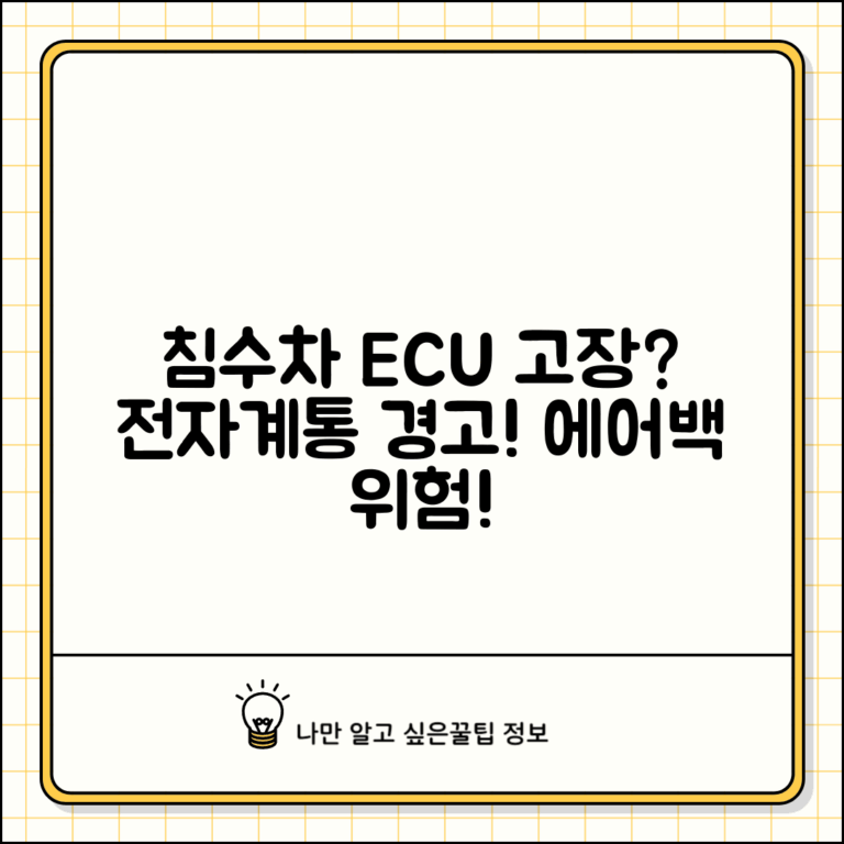 침수차량 전자장치 점검 | 침수차 ECU 고장 | 전기계통 문제 | 에어백 오작동 위험