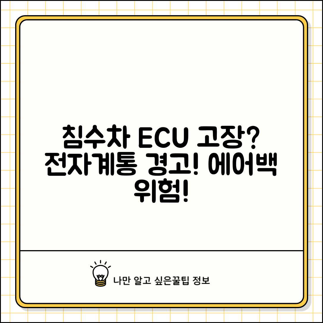 침수차량 전자장치 점검 | 침수차 ECU 고장 | 전기계통 문제 | 에어백 오작동 위험