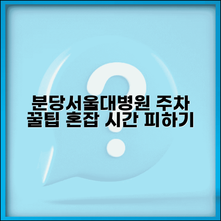 분당서울대병원 주차 요령 혼잡 시간 피하기