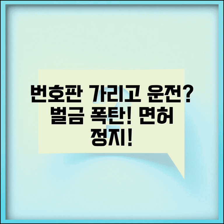 자동차 번호판 가리고 운전하면? | 도로교통법 위반, 벌금, 면허정지 처벌 총정리