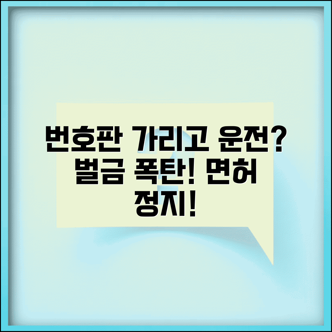 자동차 번호판 가리고 운전하면? | 도로교통법 위반, 벌금, 면허정지 처벌 총정리