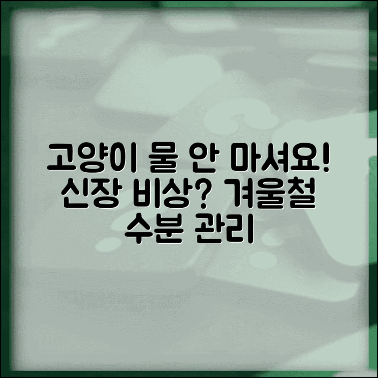 고양이 겨울철 물 섭취량 줄어드는게 정상인가요? | 수분섭취 부족 시 신장 건강 주의
