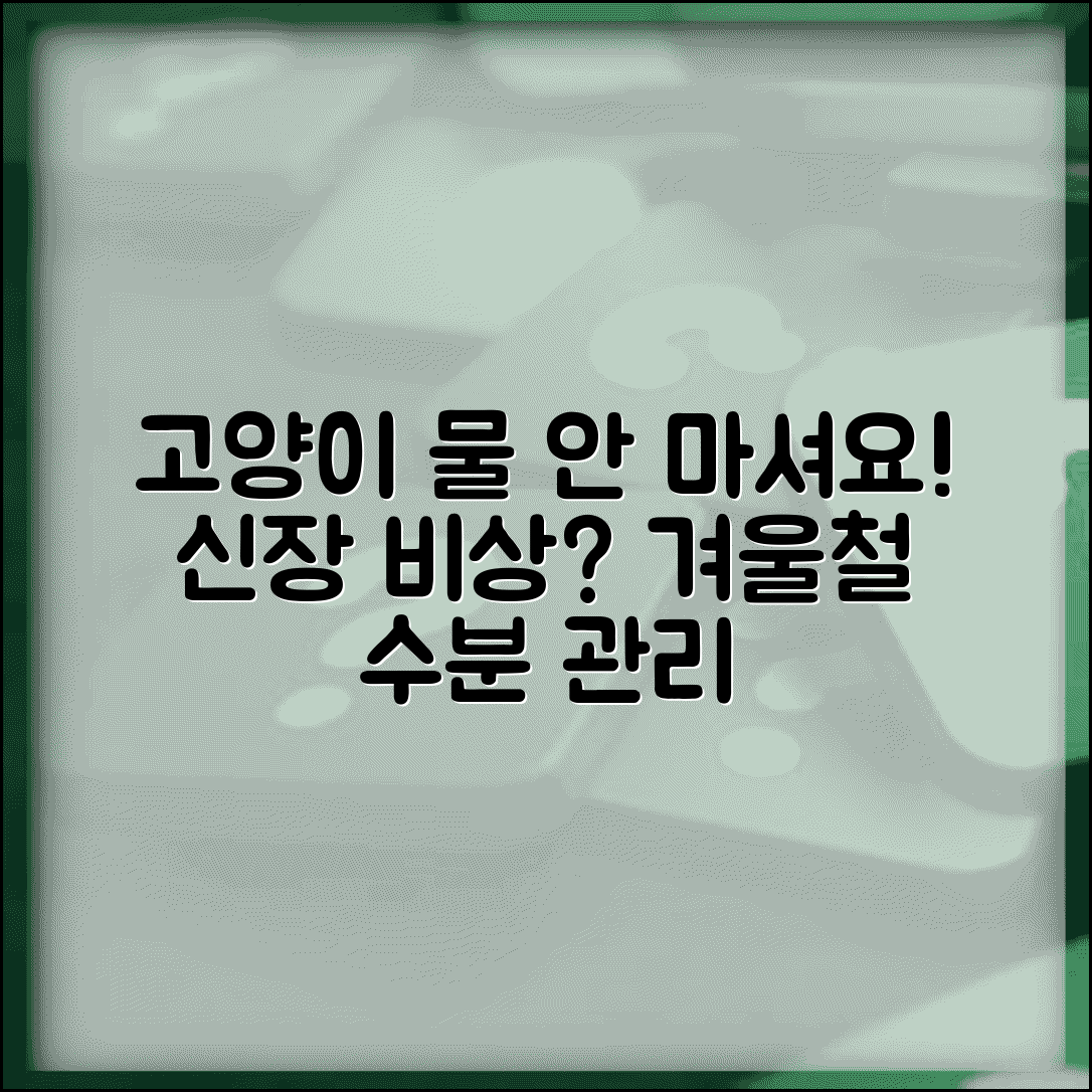 고양이 겨울철 물 섭취량 줄어드는게 정상인가요? | 수분섭취 부족 시 신장 건강 주의