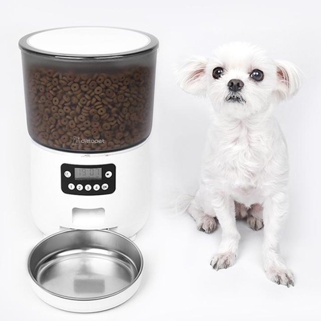 강아지 사료 기계 강아지 무선 자동 급식기 개밥주는 기계 상세 이미지 1