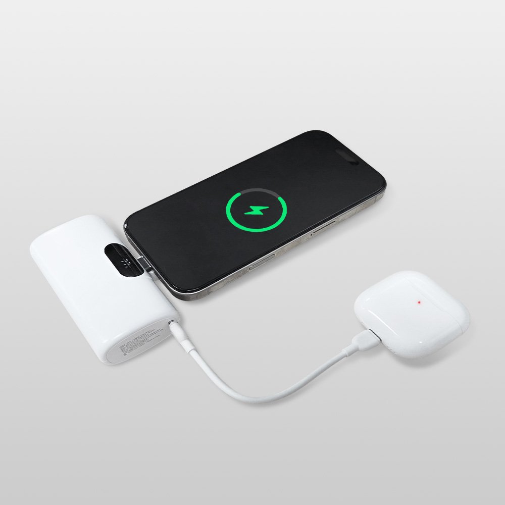 애니클리어 도킹형 고속충전 보조배터리 10000mAh 휴대용 대용량 PDB-PD10 상세 이미지 2